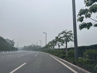 长江二桥道路绿化1