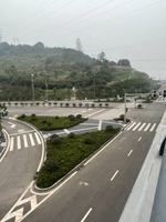 长江二桥道路绿化3