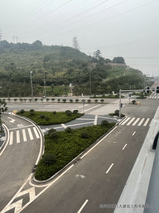 长江二桥道路绿化3